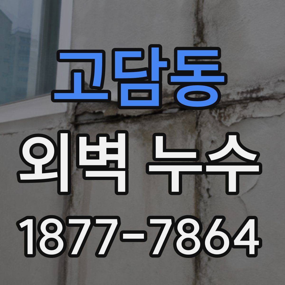 고담동 외벽 누수