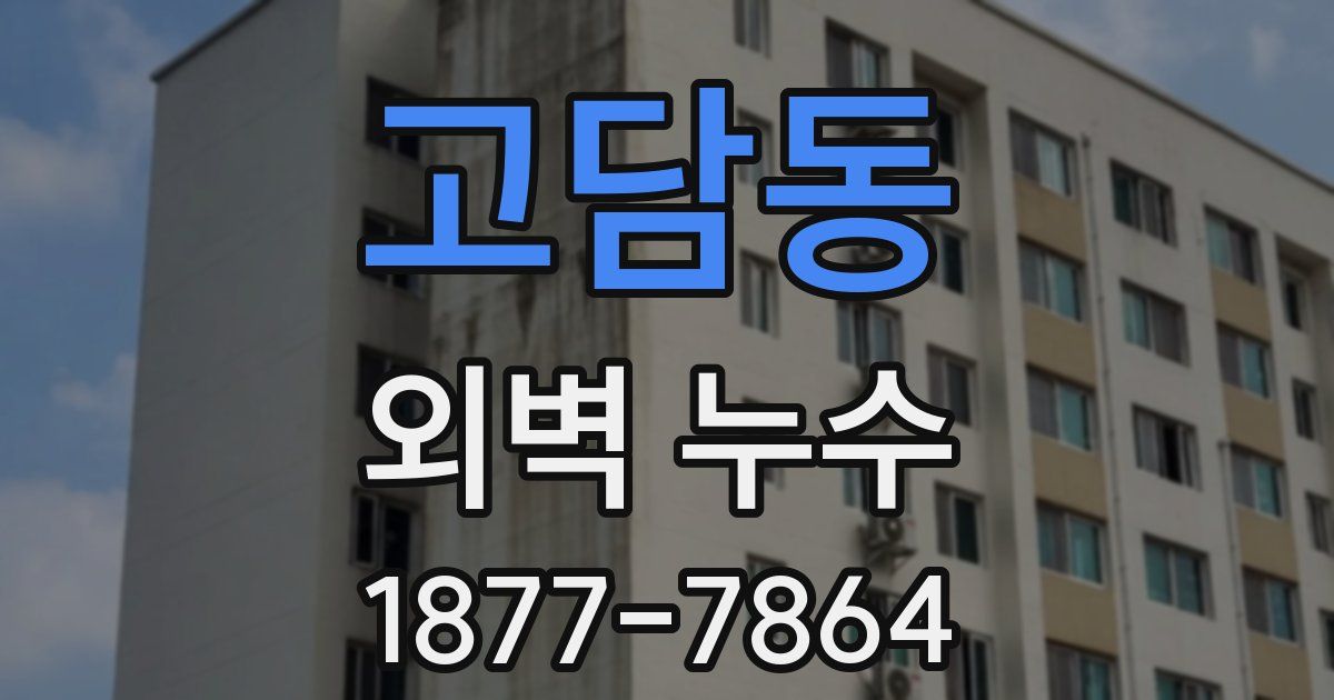 고담동 외벽 누수