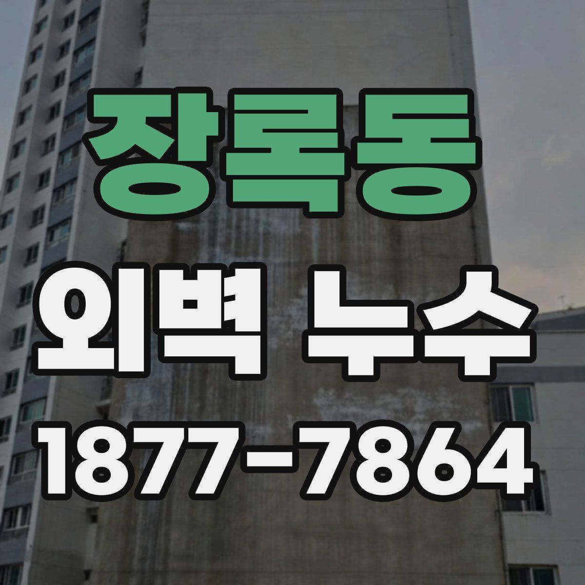 장록동 외벽 누수