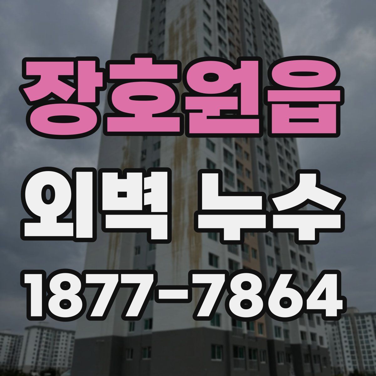 장호원읍 외벽 누수