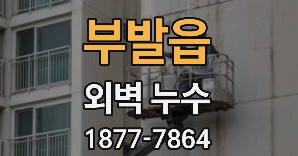 부발읍 외벽 누수