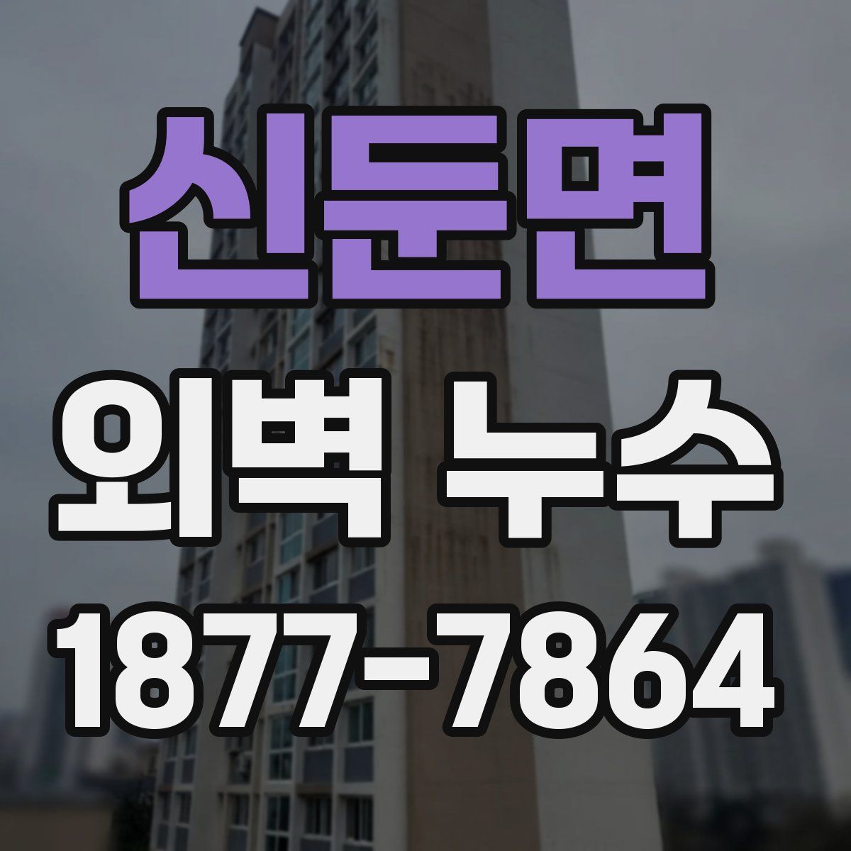 신둔면 외벽 누수
