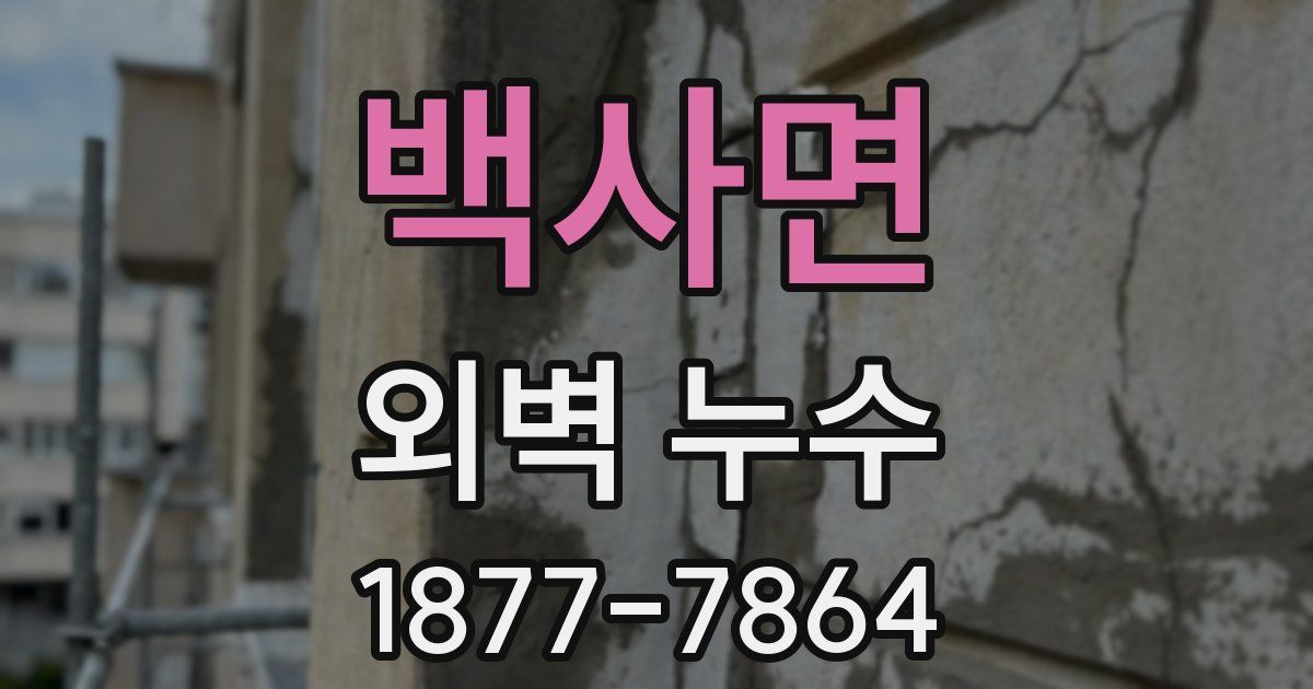 백사면 외벽 누수