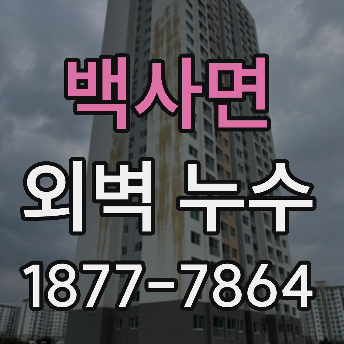 백사면 외벽 누수