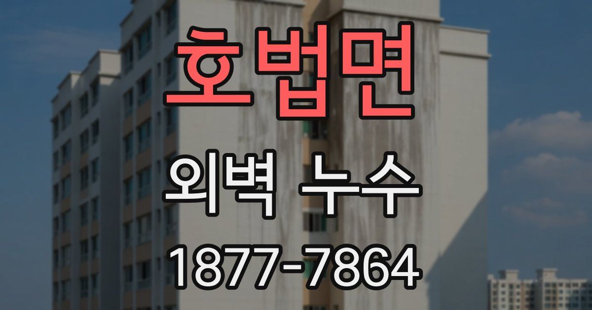 호법면 외벽 누수