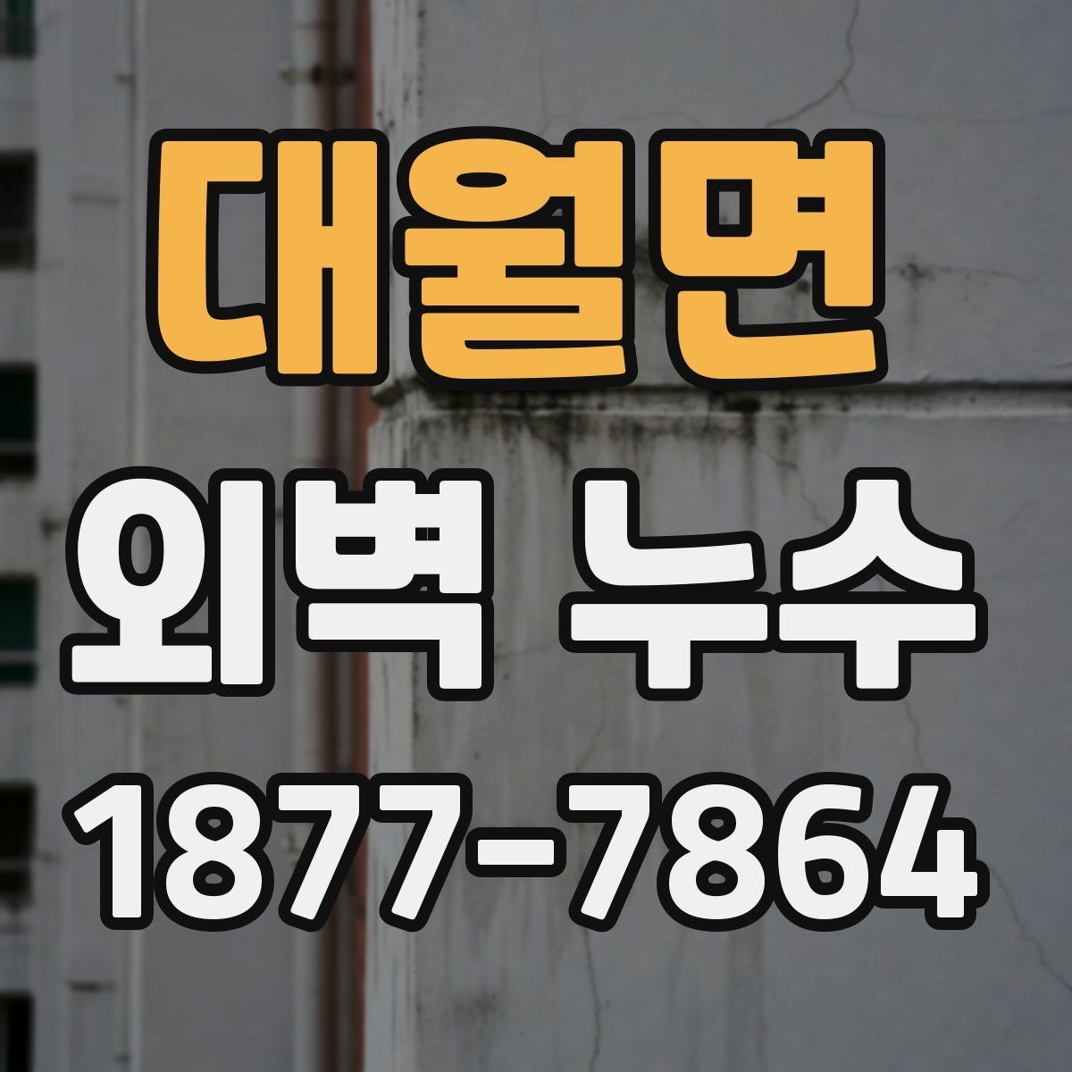 대월면 외벽 누수 피해가 커지기 전 점검해야 할 곳
