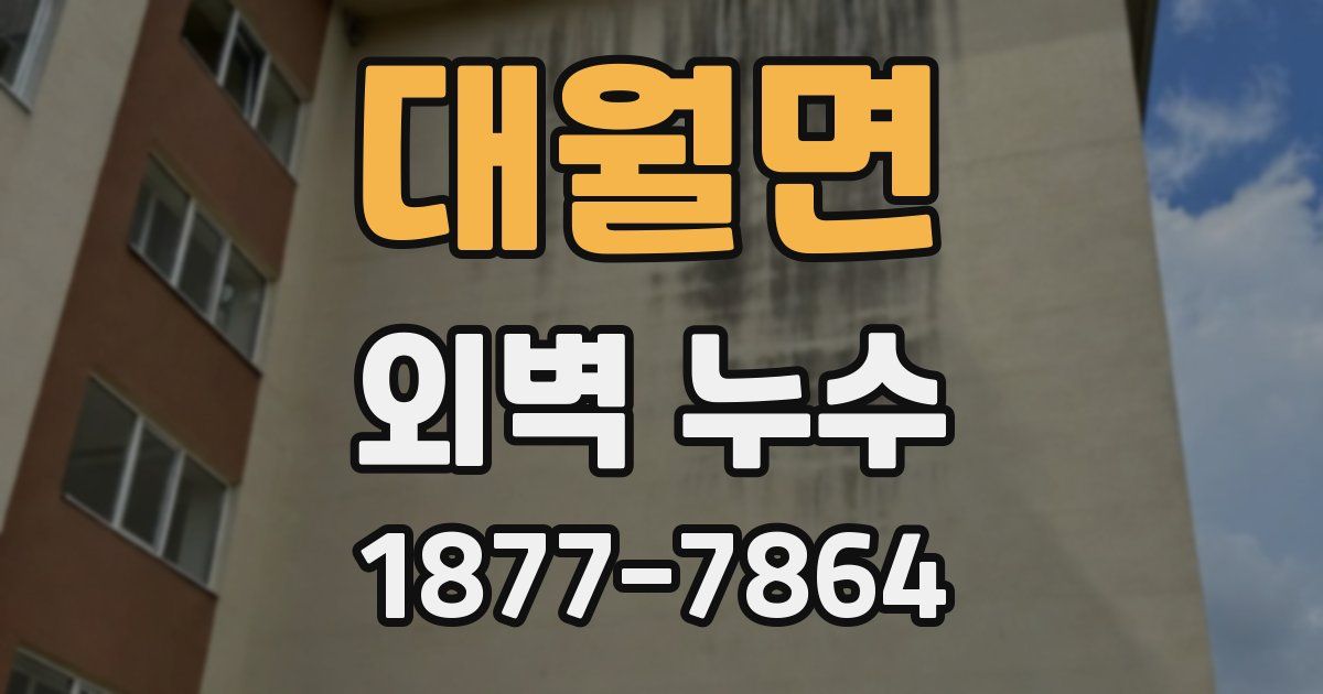 대월면 외벽 누수