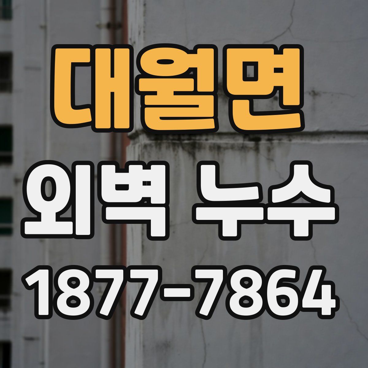대월면 외벽 누수