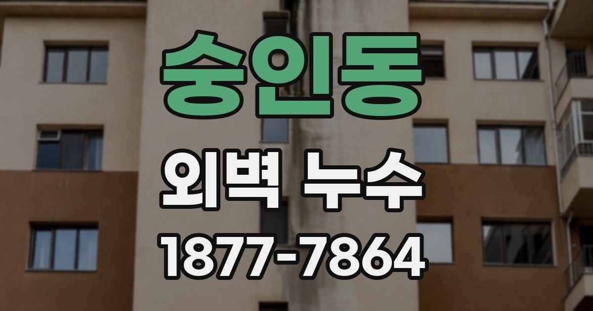 숭인동 외벽 누수