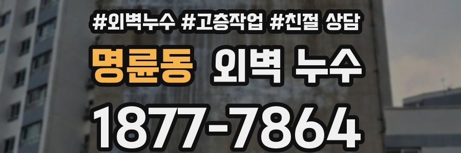 명륜동 외벽 누수