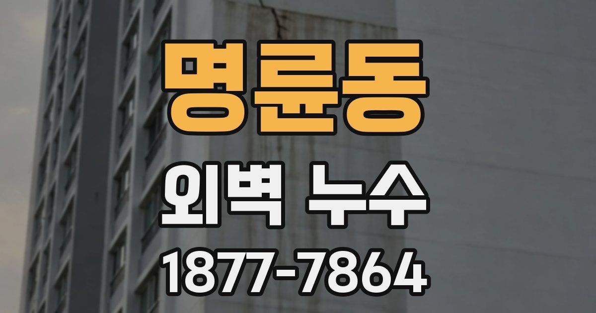 명륜동 외벽 누수
