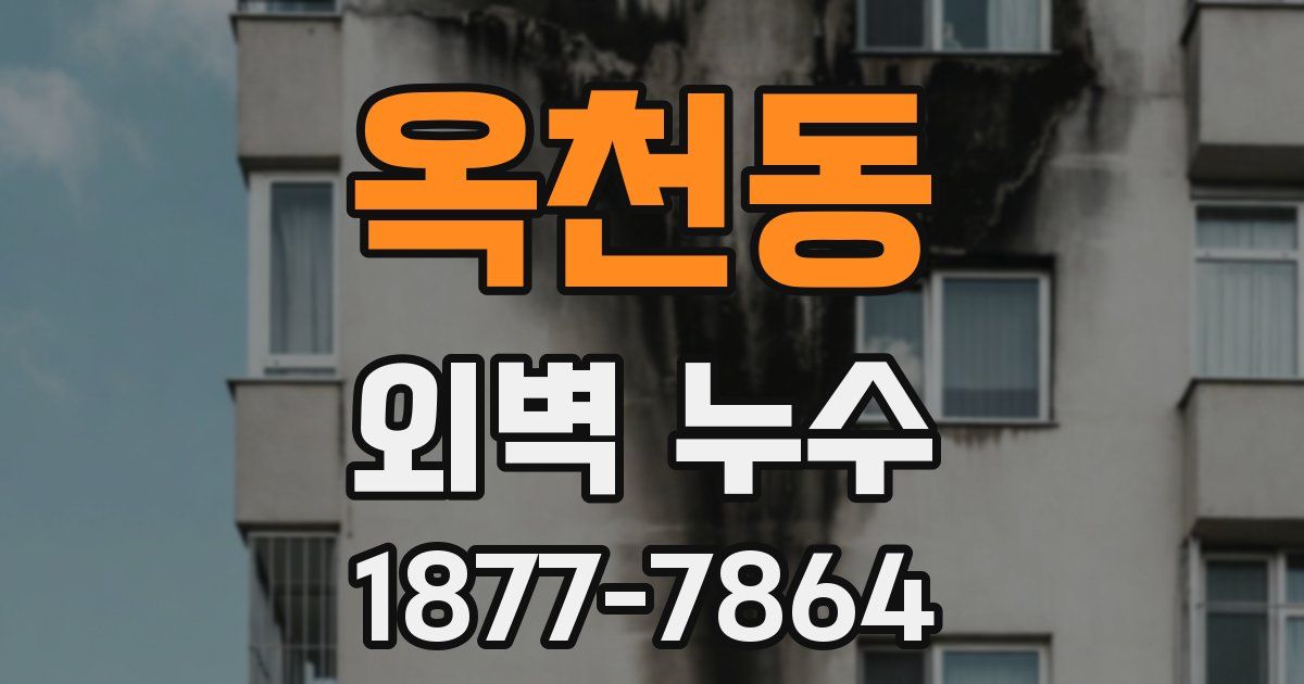 옥천동 외벽 누수
