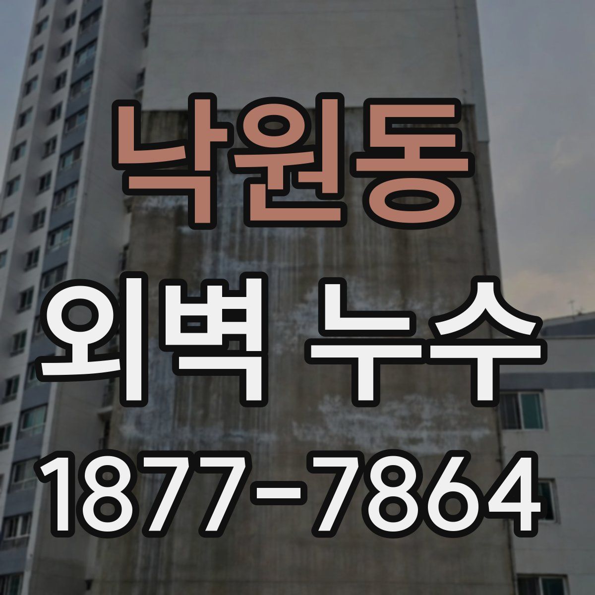 낙원동 외벽 누수