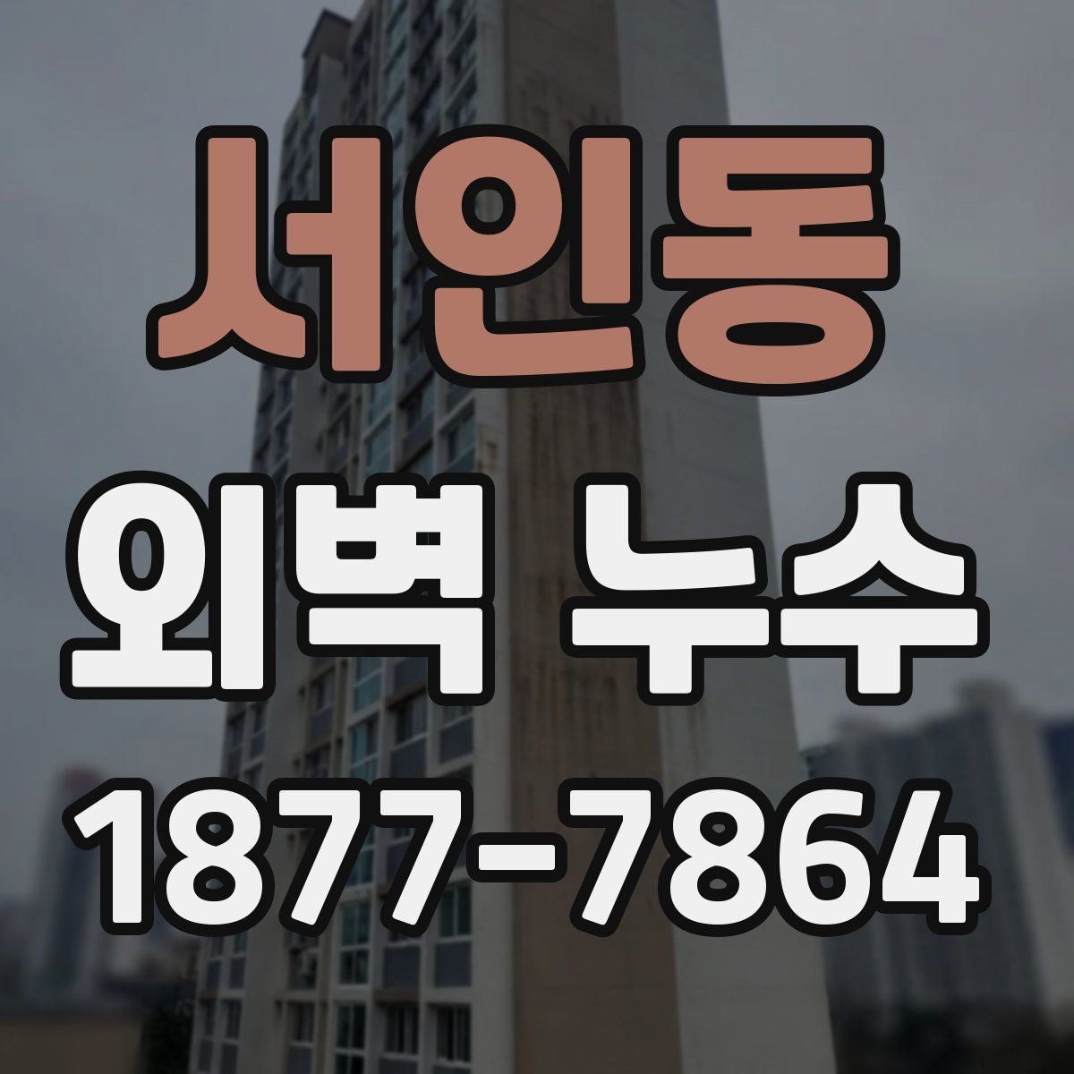 서인동 외벽 누수