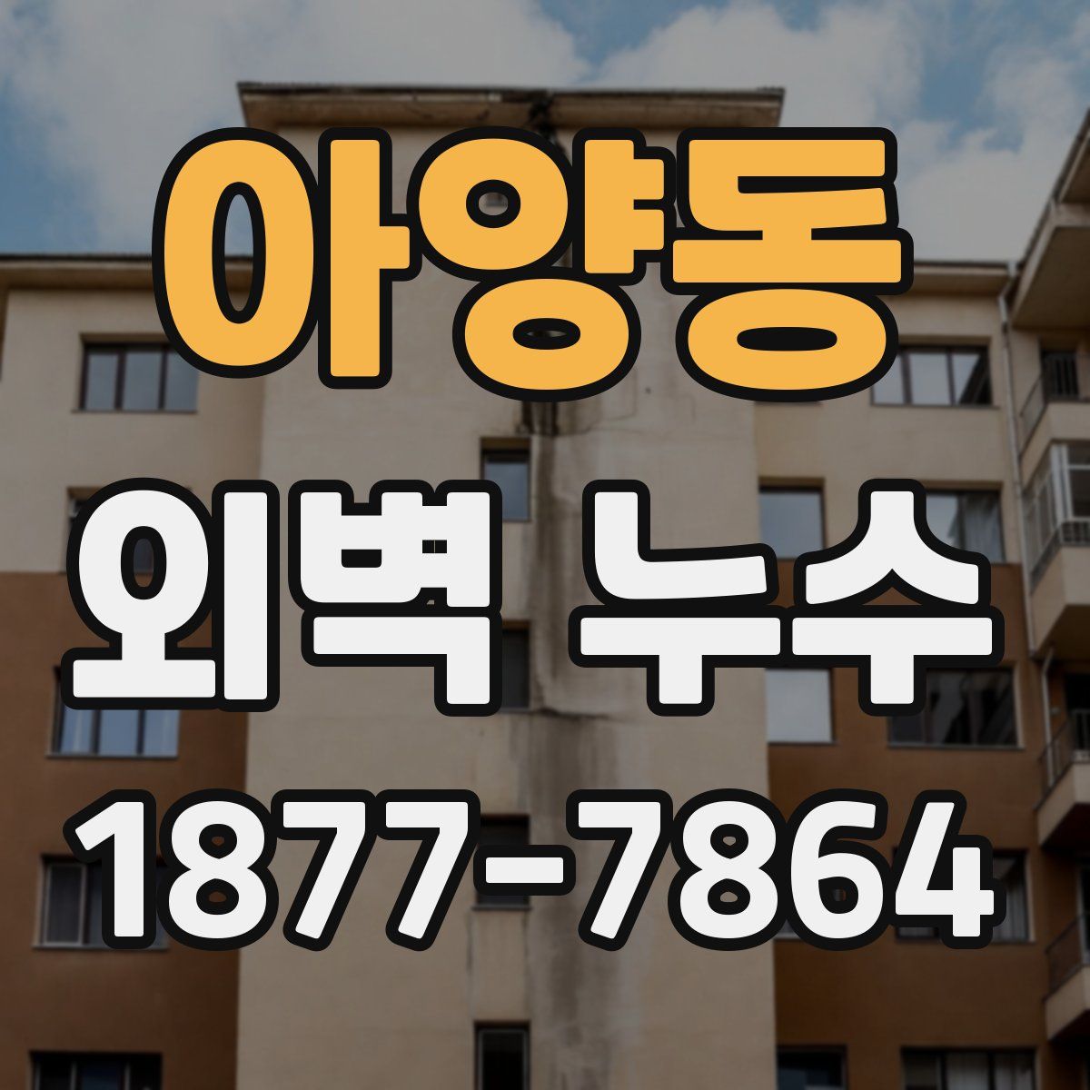 아양동 외벽 누수