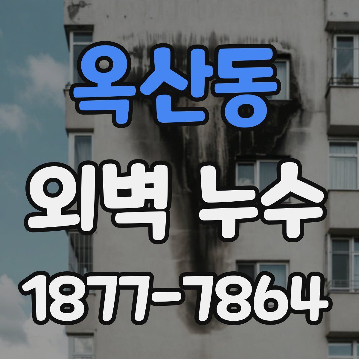 옥산동 외벽 누수