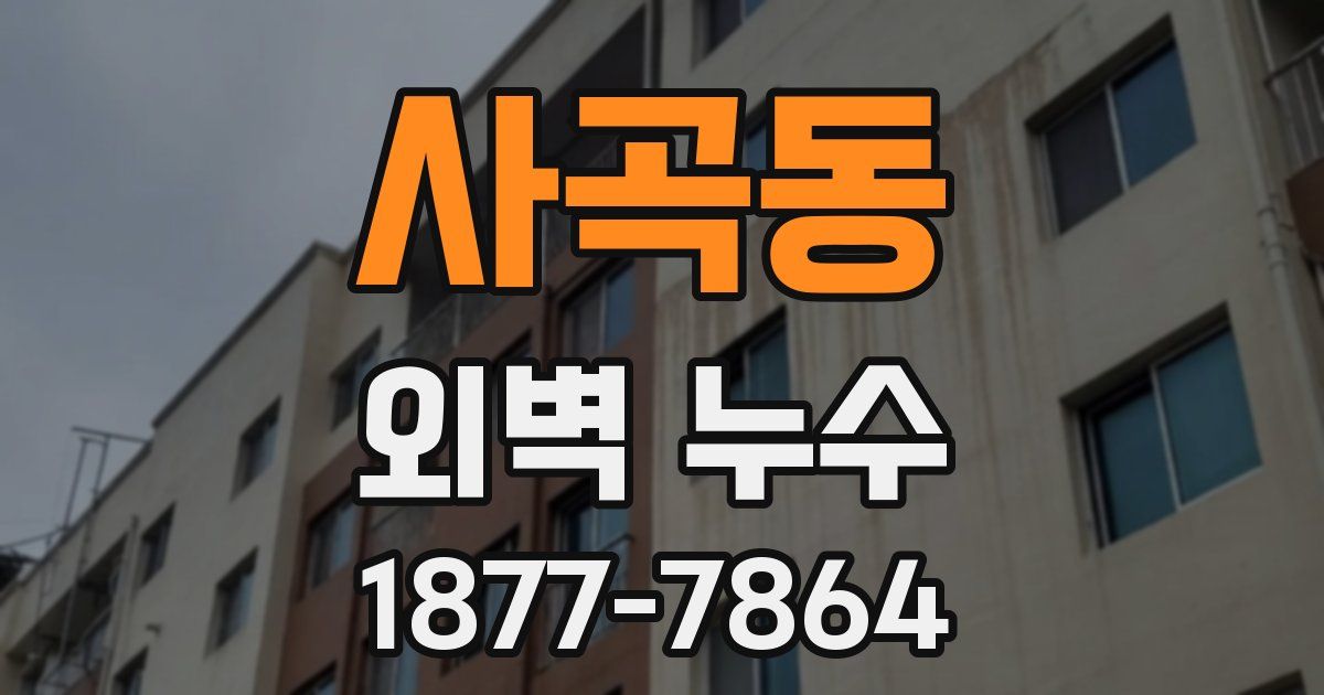 사곡동 외벽 누수