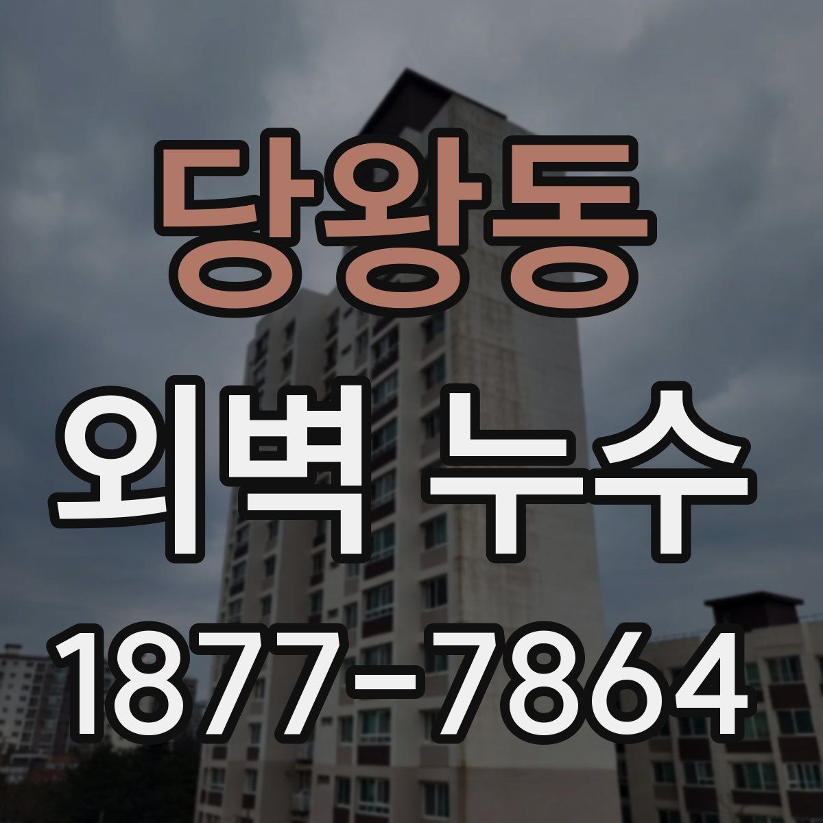 당왕동 외벽 누수