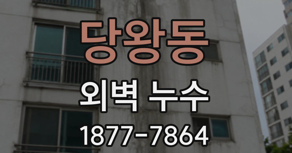 당왕동 외벽 누수