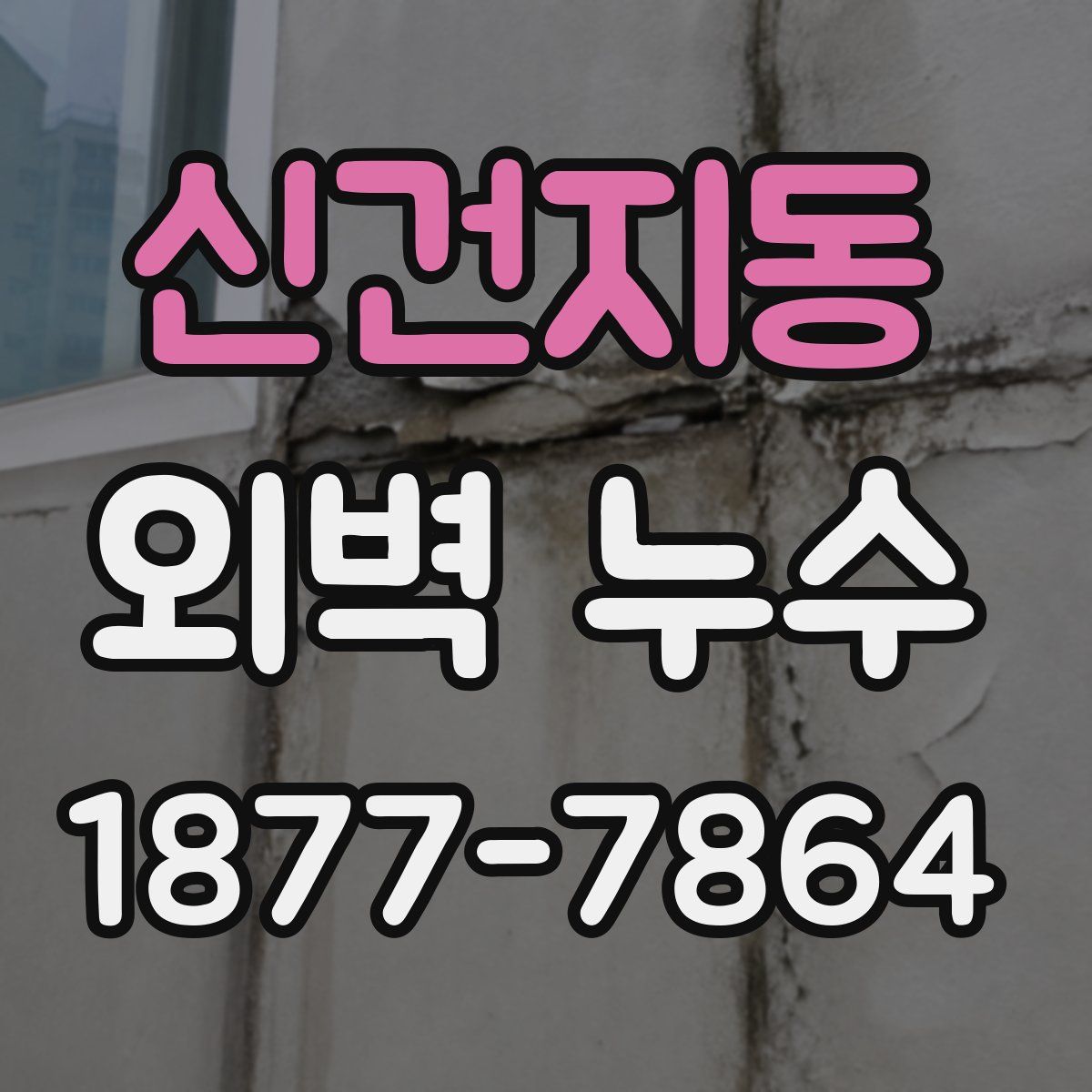 신건지동 외벽 누수