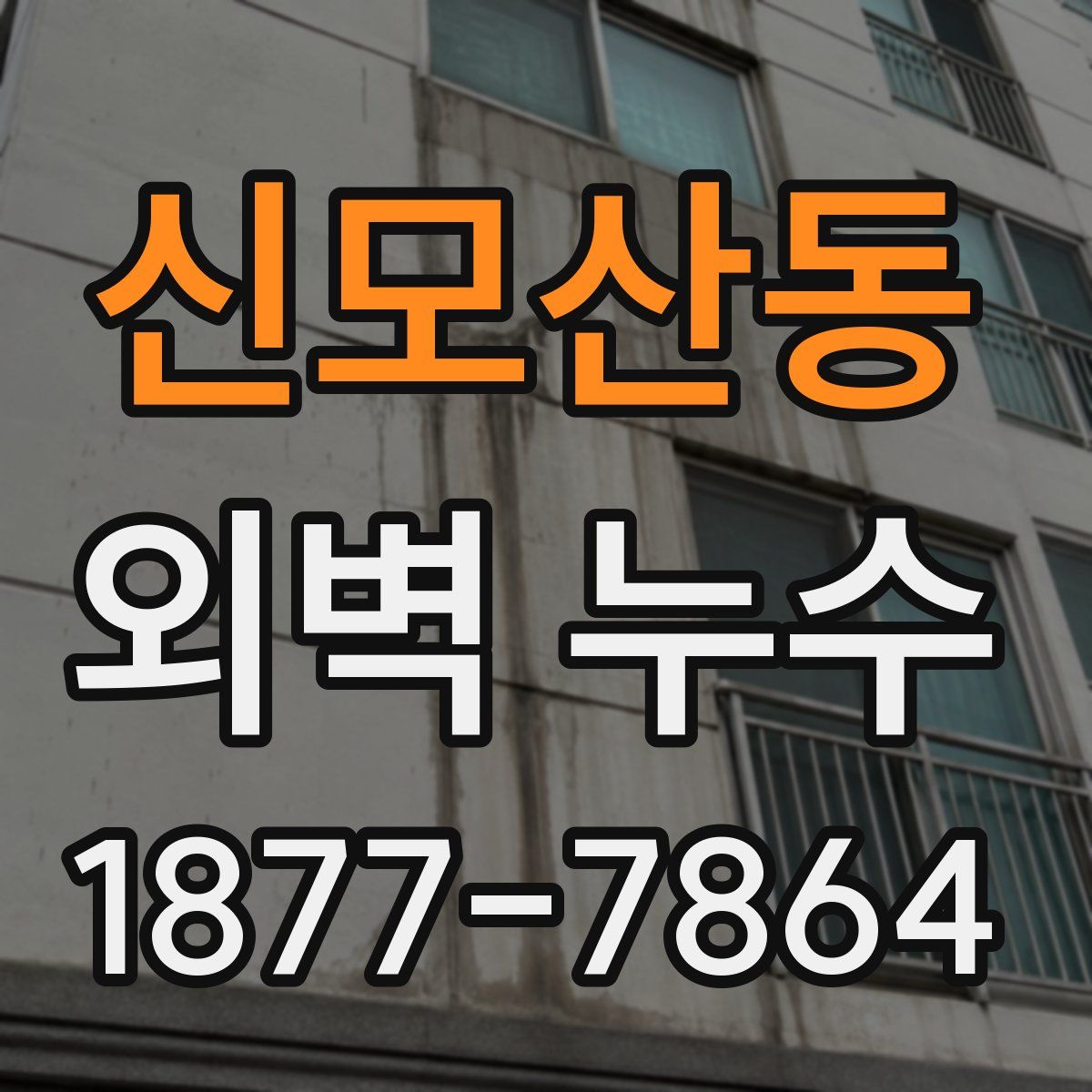 신모산동 외벽 누수