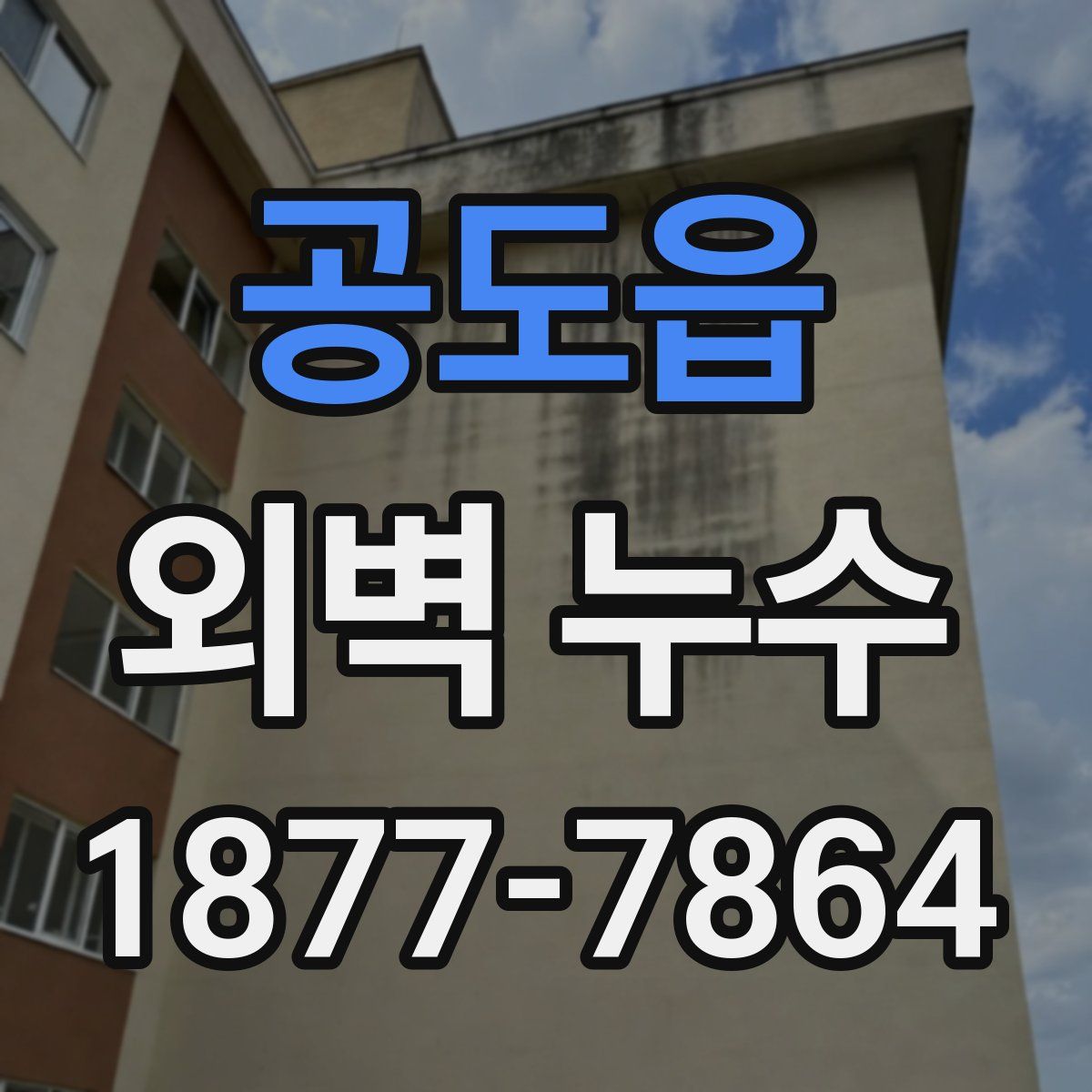 공도읍 외벽 누수