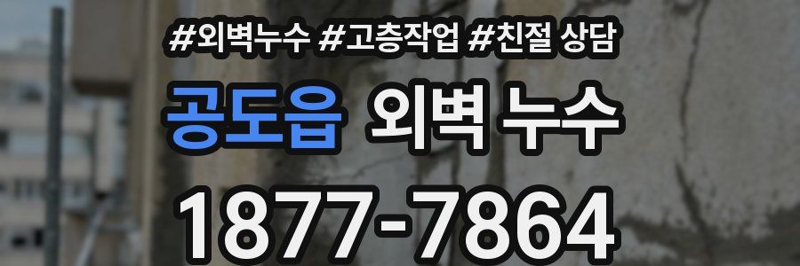 공도읍 외벽 누수