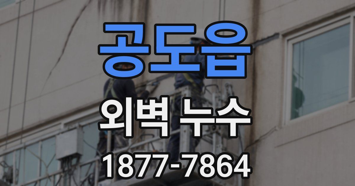 공도읍 외벽 누수