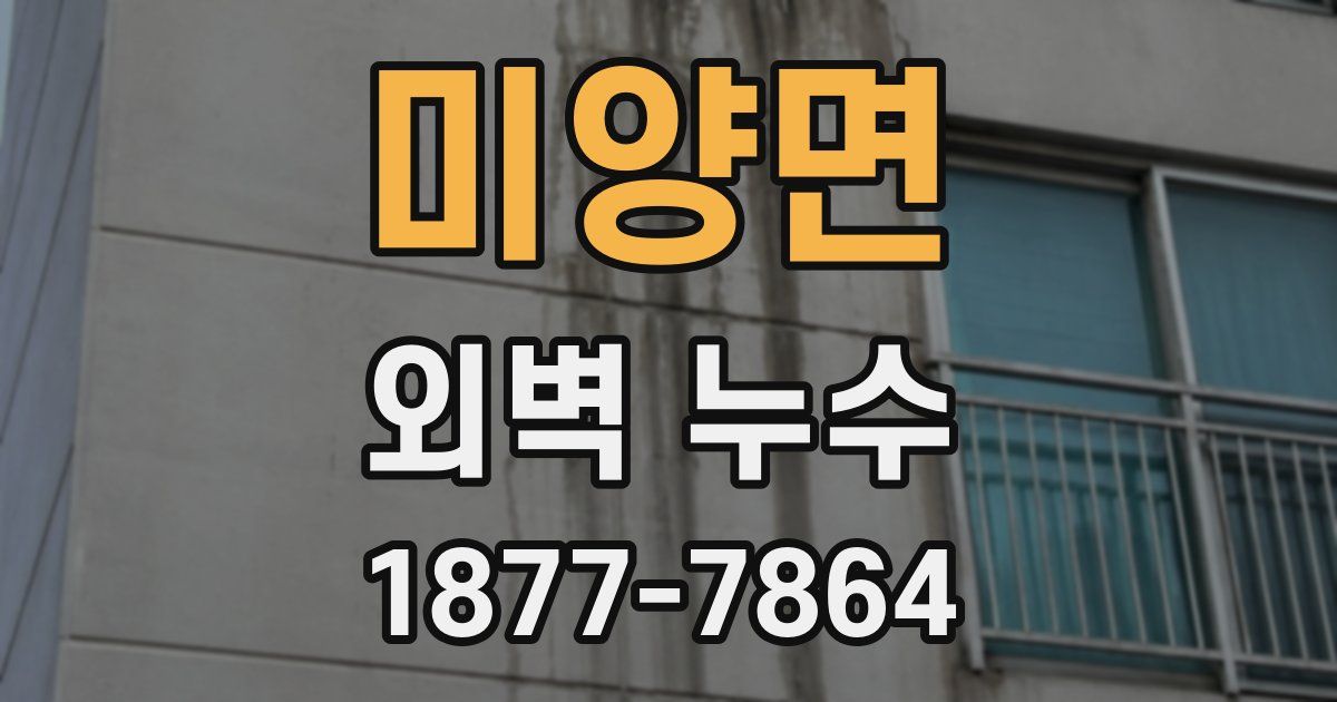 미양면 외벽 누수