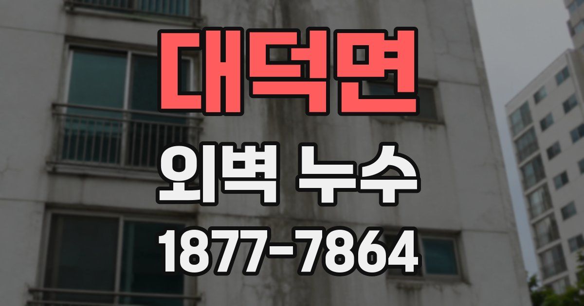 대덕면 외벽 누수