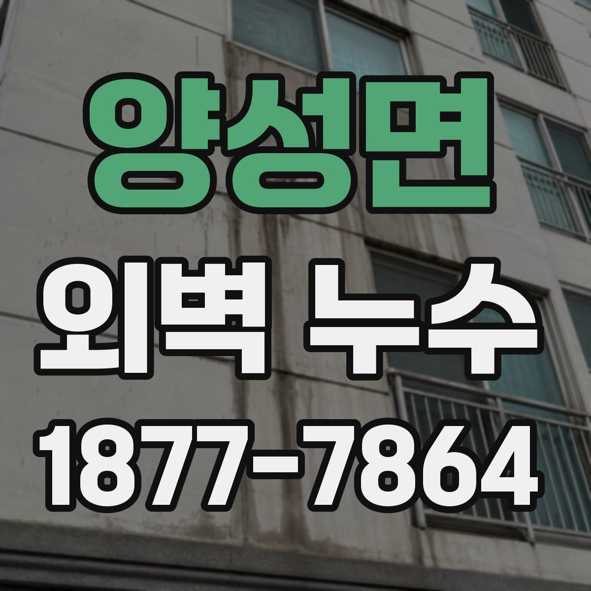 양성면 외벽 누수