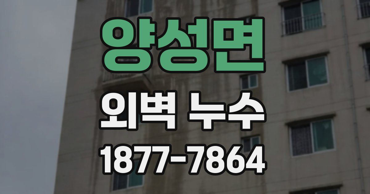 양성면 외벽 누수