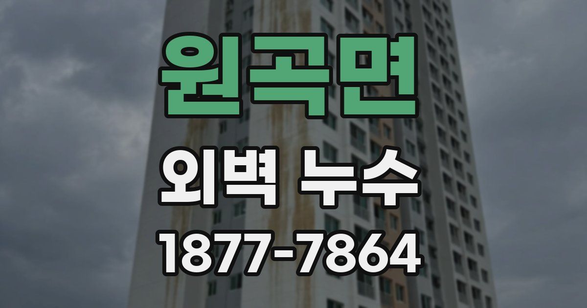 원곡면 외벽 누수