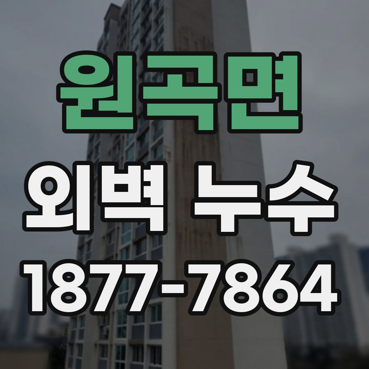 원곡면 외벽 누수