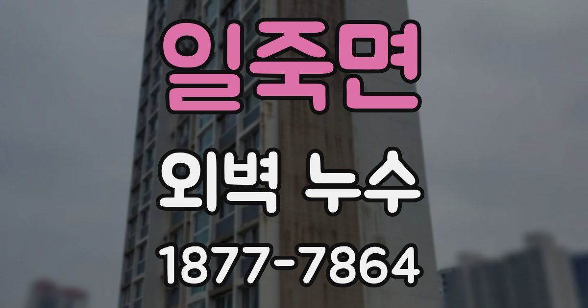 일죽면 외벽 누수