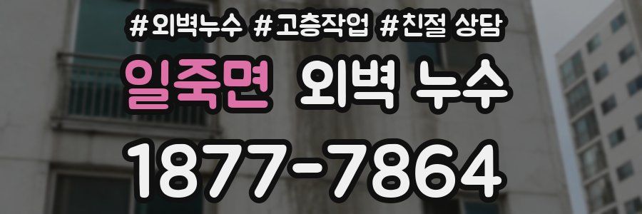 일죽면 외벽 누수