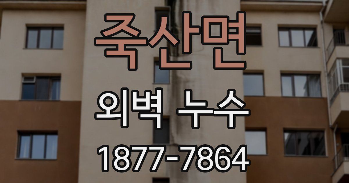 죽산면 외벽 누수