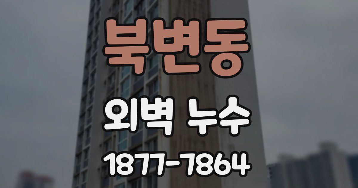 북변동 외벽 누수