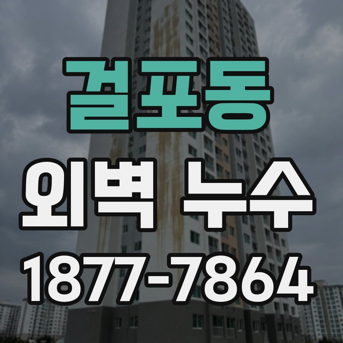 걸포동 외벽 누수