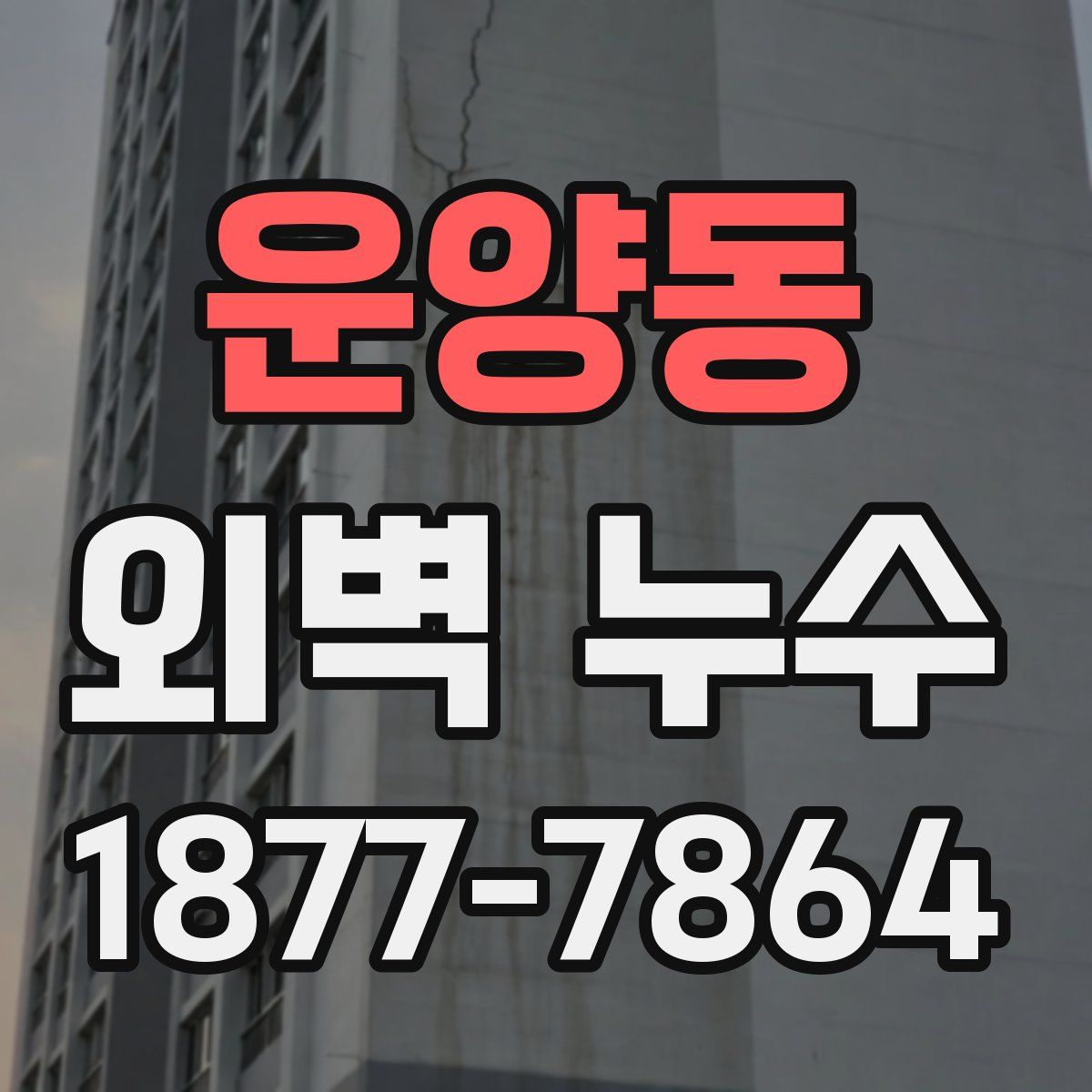운양동 외벽 누수