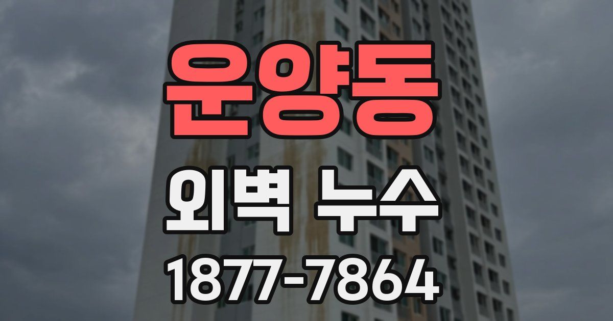 운양동 외벽 누수
