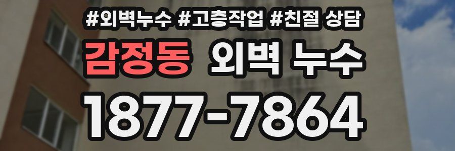감정동 외벽 누수