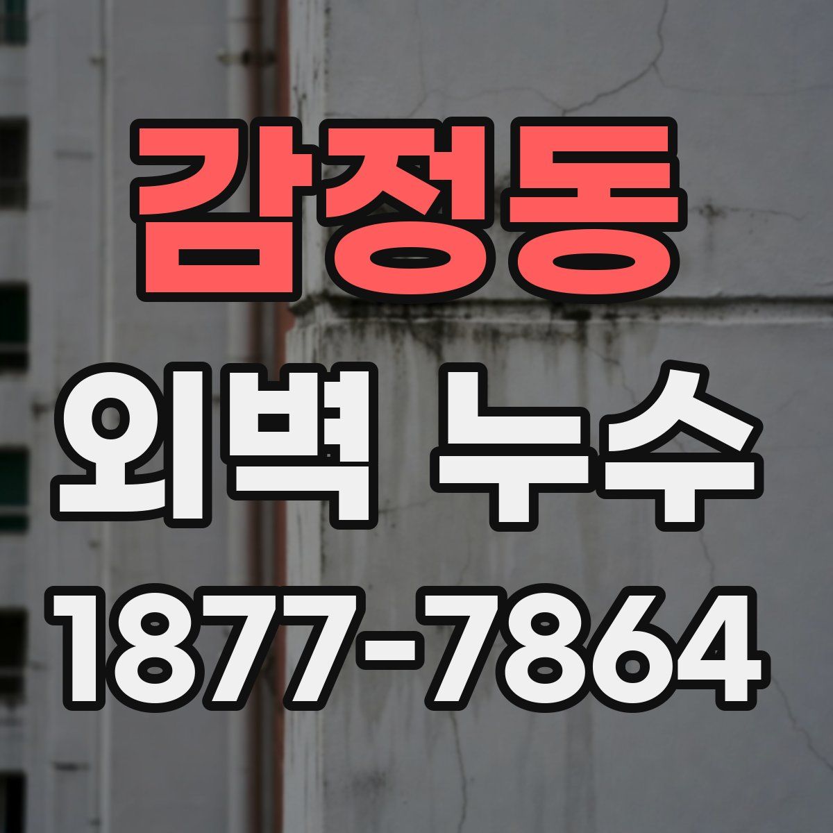 감정동 외벽 누수