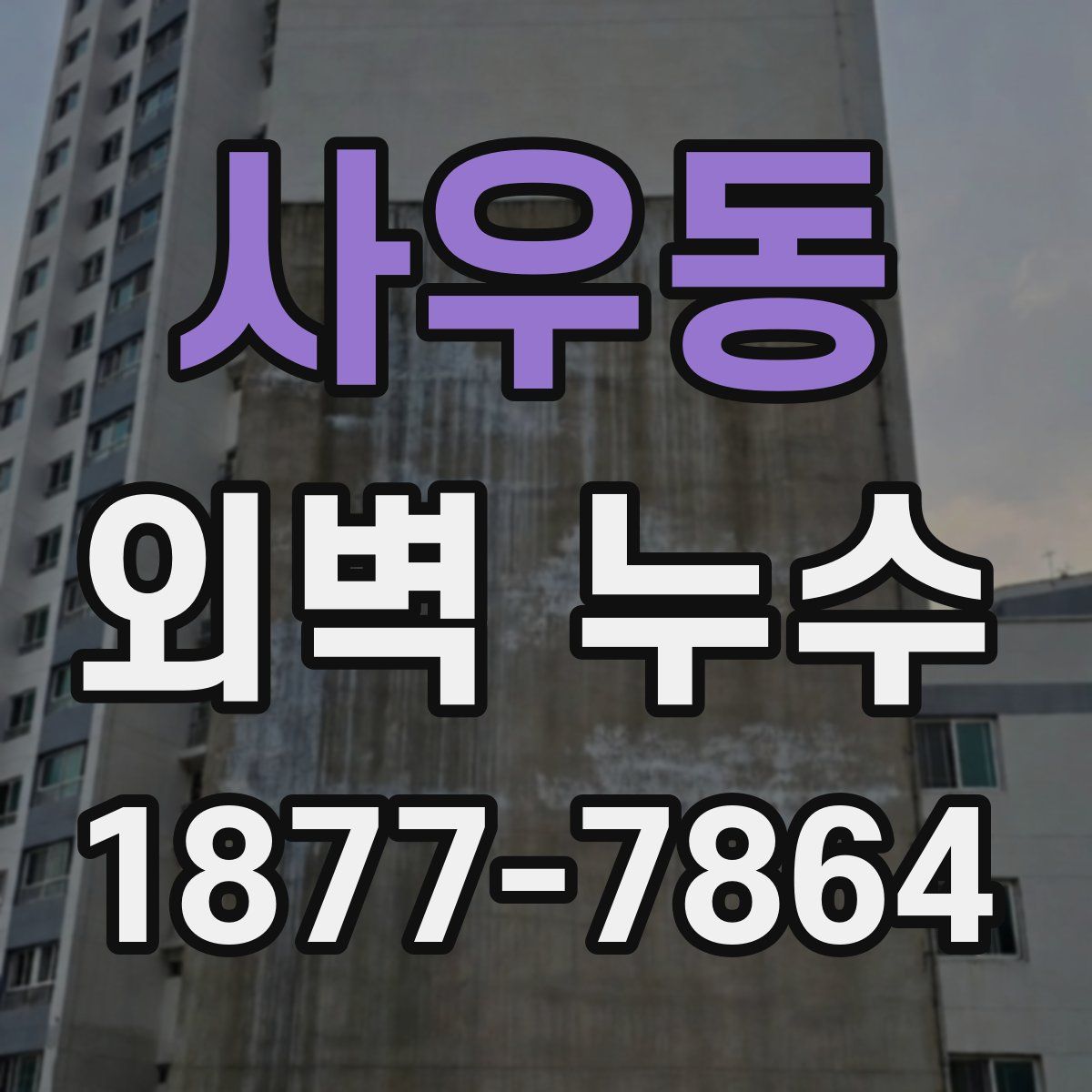 사우동 외벽 누수