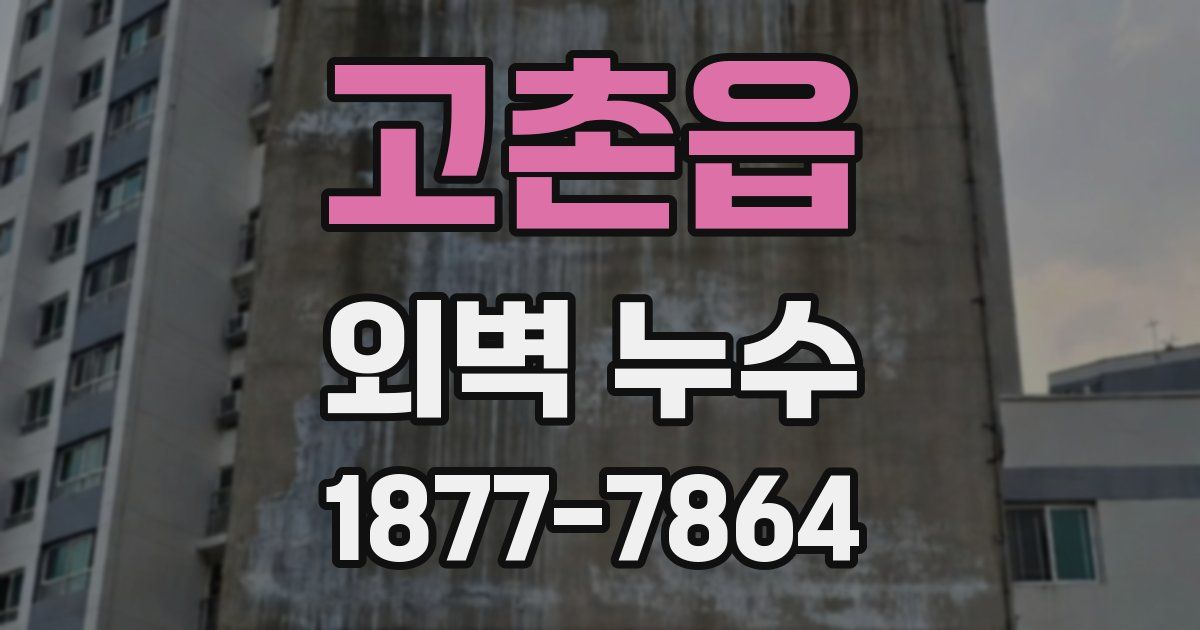 고촌읍 외벽 누수