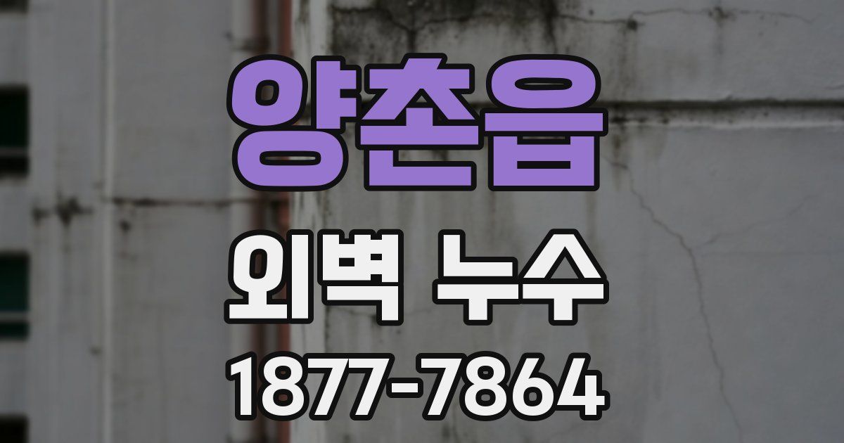 양촌읍 외벽 누수