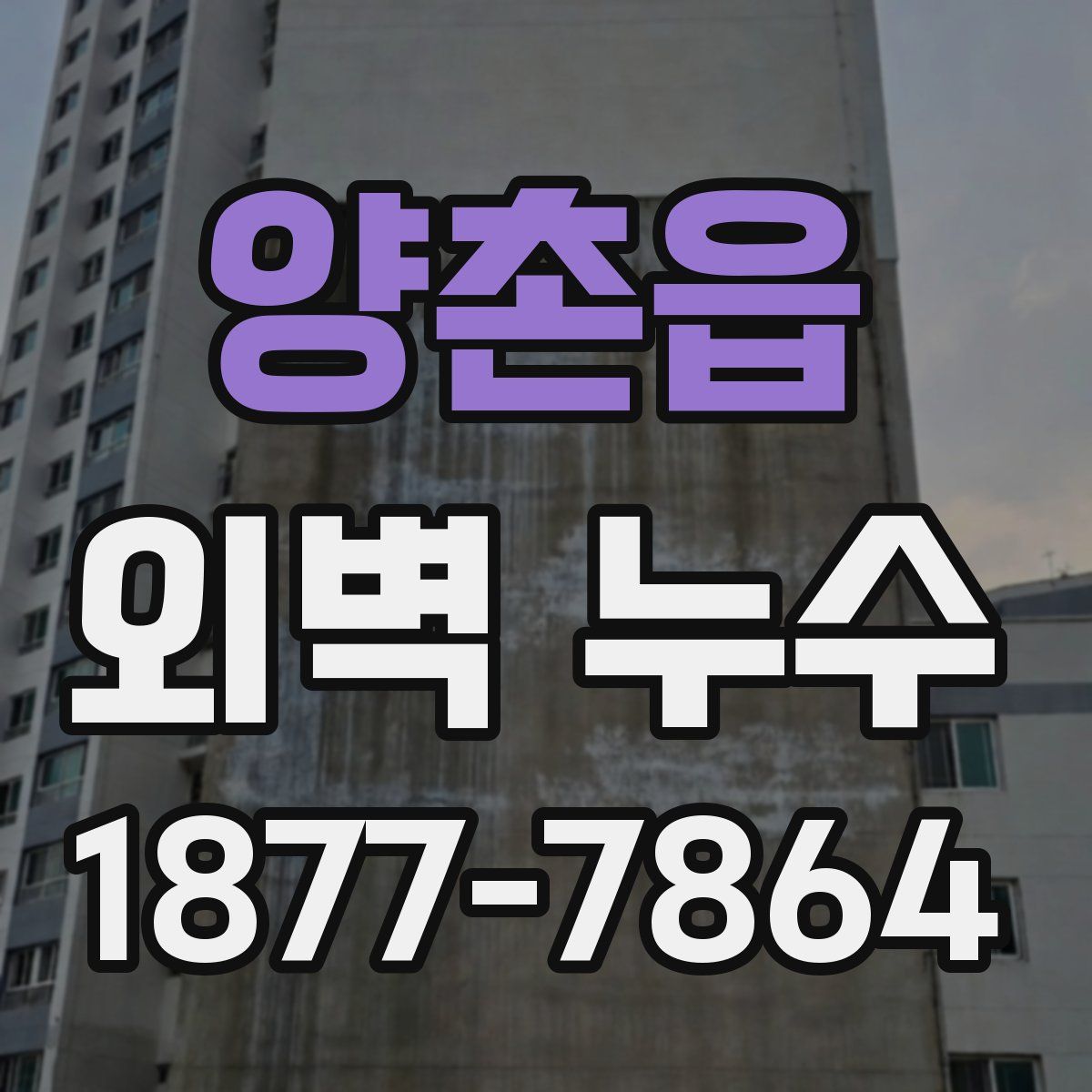 양촌읍 외벽 누수