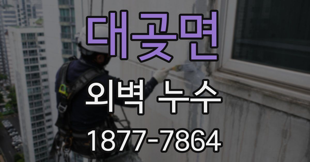 대곶면 외벽 누수