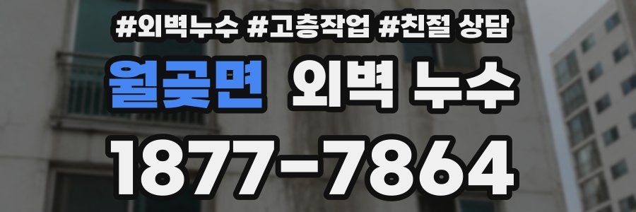 월곶면 외벽 누수