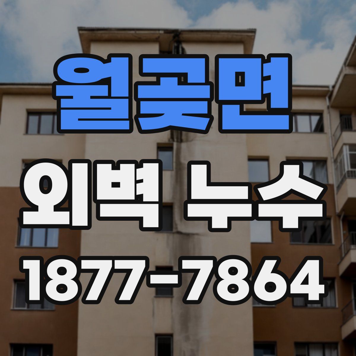 월곶면 외벽 누수